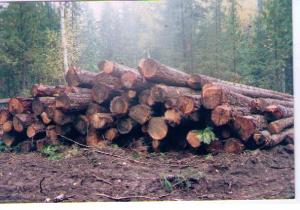 DHRS #1999 How Whatshan Lands were financed